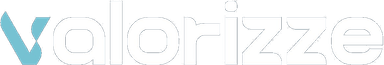 Valorizze Consultoria Empresarial